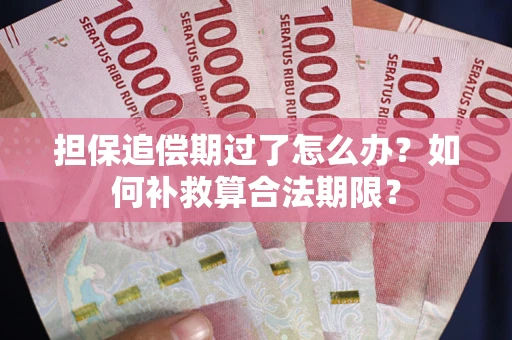 济南担保追偿期过了怎么办？如何补救算合法期限？