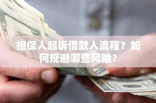 济南担保人起诉借款人流程？如何规避哪些风险？